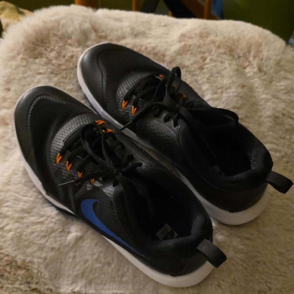 EUC Nike Black and Blue Athletic Shoes-Size 9